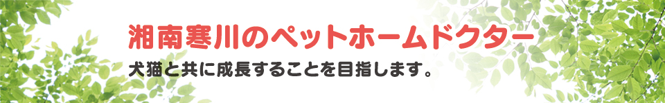 湘南寒川のペットホームドクター 湘南寒川のペットホームドクター